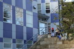 Aulas Virtuales