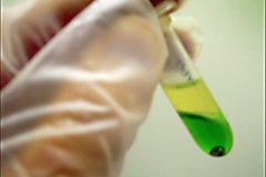 Laboratorio