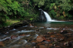 rrnn_naturaleza_2