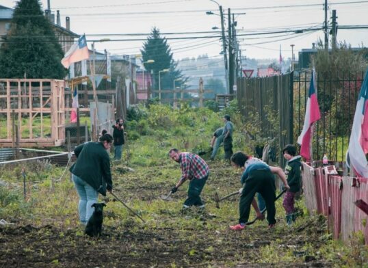 Investigadores ULagos publican en prestigiosa revista trabajo sobre retorno de las tomas de terreno en Osorno